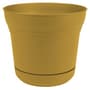 Thumbnail Image for 239616-1