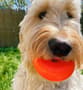 Thumbnail Image for 227646-3