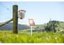 Thumbnail Image for 253164-2
