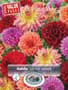 Thumbnail Image for 237823-1