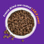 Thumbnail Image for 236836-4