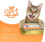 Thumbnail Image for 243458-6