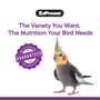 Thumbnail Image for 238122-3