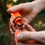 Thumbnail Image for 258575-2