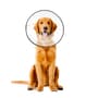 Thumbnail Image for 235152-2