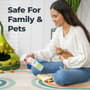 Thumbnail Image for 245254-6