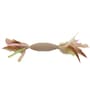 Thumbnail Image for 225072-1
