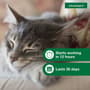 Thumbnail Image for 131837-3