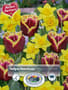 Thumbnail Image for 223606-1