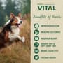 Thumbnail Image for 246878-3