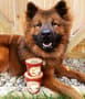 Thumbnail Image for 224034-2