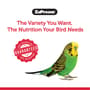 Thumbnail Image for 238118-3
