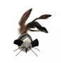 Thumbnail Image for 225077-1
