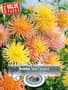 Thumbnail Image for 230977-1