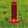 Thumbnail Image for 260492-1