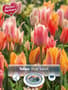 Thumbnail Image for 245778-1