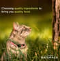 Thumbnail Image for 127665-2