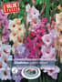 Thumbnail Image for 230971-1