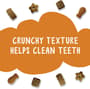 Thumbnail Image for 226493-4