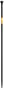 Thumbnail Image for 242786-1