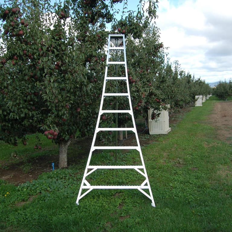 TALLMAN ORCHARD LADDER - CascadeFarmAndOutdoor