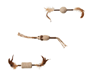 Thumbnail Image for 244695-1