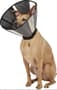 Thumbnail Image for 235844-4