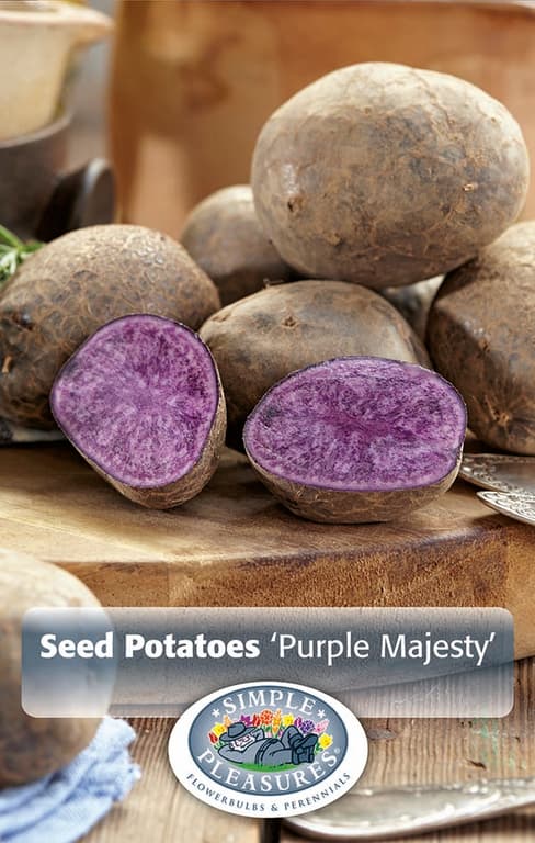 Potato, Purple Majesty