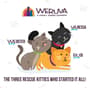 Thumbnail Image for 222972-5