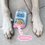 Thumbnail Image for 232026-6