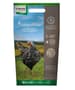 Thumbnail Image for 117924-2