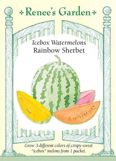 Bubba Flo Mized Berry with Watermelon & Wild Berry Kids Water
