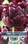 Thumbnail Image for 245777-1