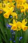 Thumbnail Image for 223597-1