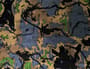 Thumbnail Image for 9229213-2