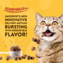Thumbnail Image for 236542-8