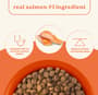 Thumbnail Image for 249367-4
