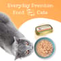 Thumbnail Image for 243458-5