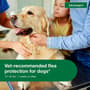 Thumbnail Image for 131841-4