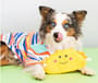 Thumbnail Image for 224853-2