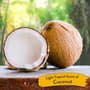 Thumbnail Image for 248271-4