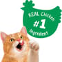 Thumbnail Image for 226495-5