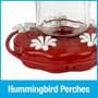 Thumbnail Image for 237496-5