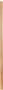 Thumbnail Image for 238932-1