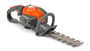 Thumbnail Image for 236237-1