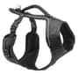Thumbnail Image for 227453-1