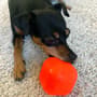 Thumbnail Image for 227637-3