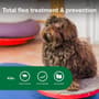 Thumbnail Image for 131839-5