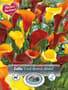 Thumbnail Image for 230968-1