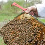 Thumbnail Image for 132465-3